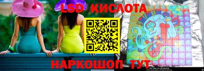 крисы Малгобек