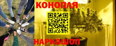 крисы Малгобек