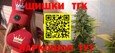 крисы Малгобек