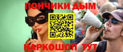 крисы Можга