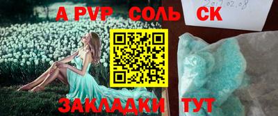 крисы Можга