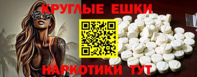 крисы Можга