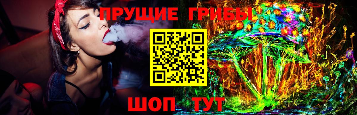 Галлюциногенные грибы мухоморы Долгопрудный