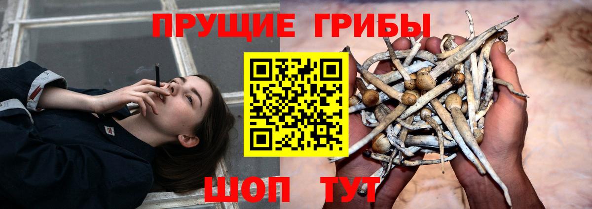 Долгопрудный  Галлюциногенные грибы мухоморы  Вход с VPN 